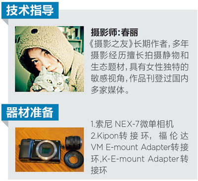 使用NEX-7转接各种老镜头，拍摄猫的不同写真
