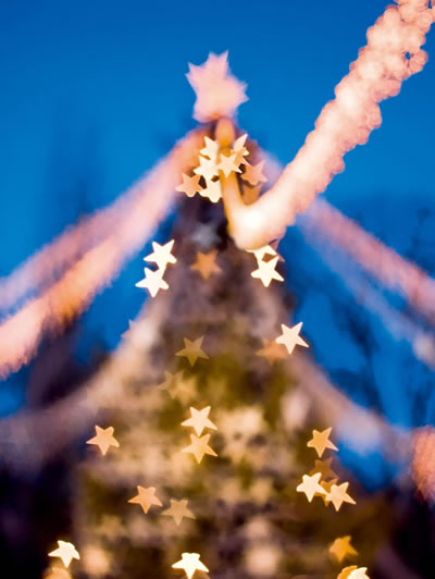 圣诞节摄影——如何拍摄不同视角的圣诞树