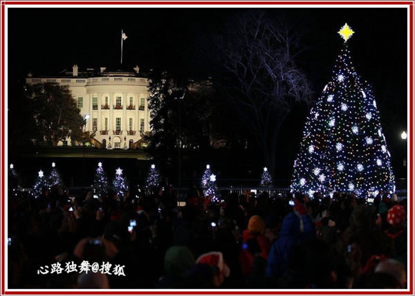 2011ʥThe National Christmas Tree