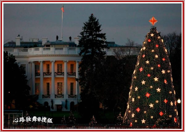 2011ʥThe National Christmas Tree