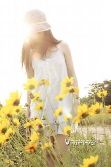Sunshine Girl -   Ըÿ˶-2