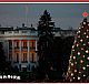 2011年美国国家圣诞树（The National Christmas Tree）