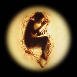 创意摄影作品：磨砂玻璃道具营造“胚胎影像”