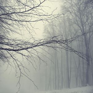 雾天也能拍出好照片——精彩雾景摄影作品欣赏